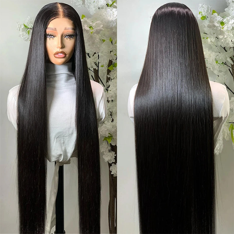 Firieya Glueless Straight Hair 13x6 HD Full Lace Front Wig Pre Plucked Hairline Real HD Lace Wig Human Hair